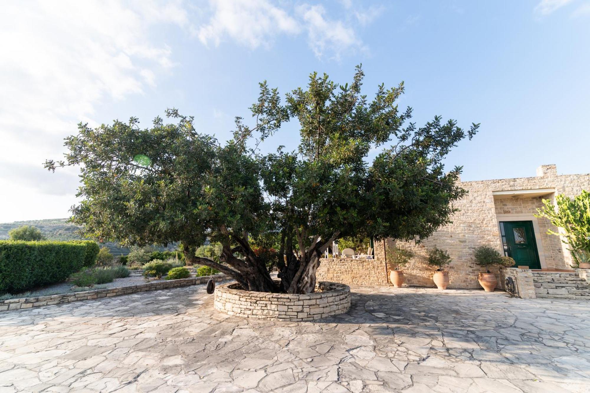 Carob Villa Moirai Екстер'єр фото