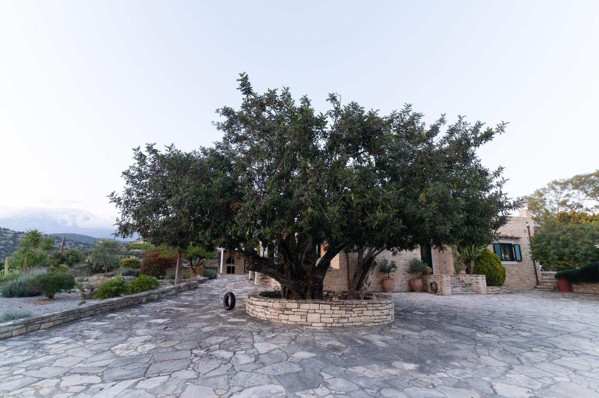 Carob Villa Moirai Екстер'єр фото