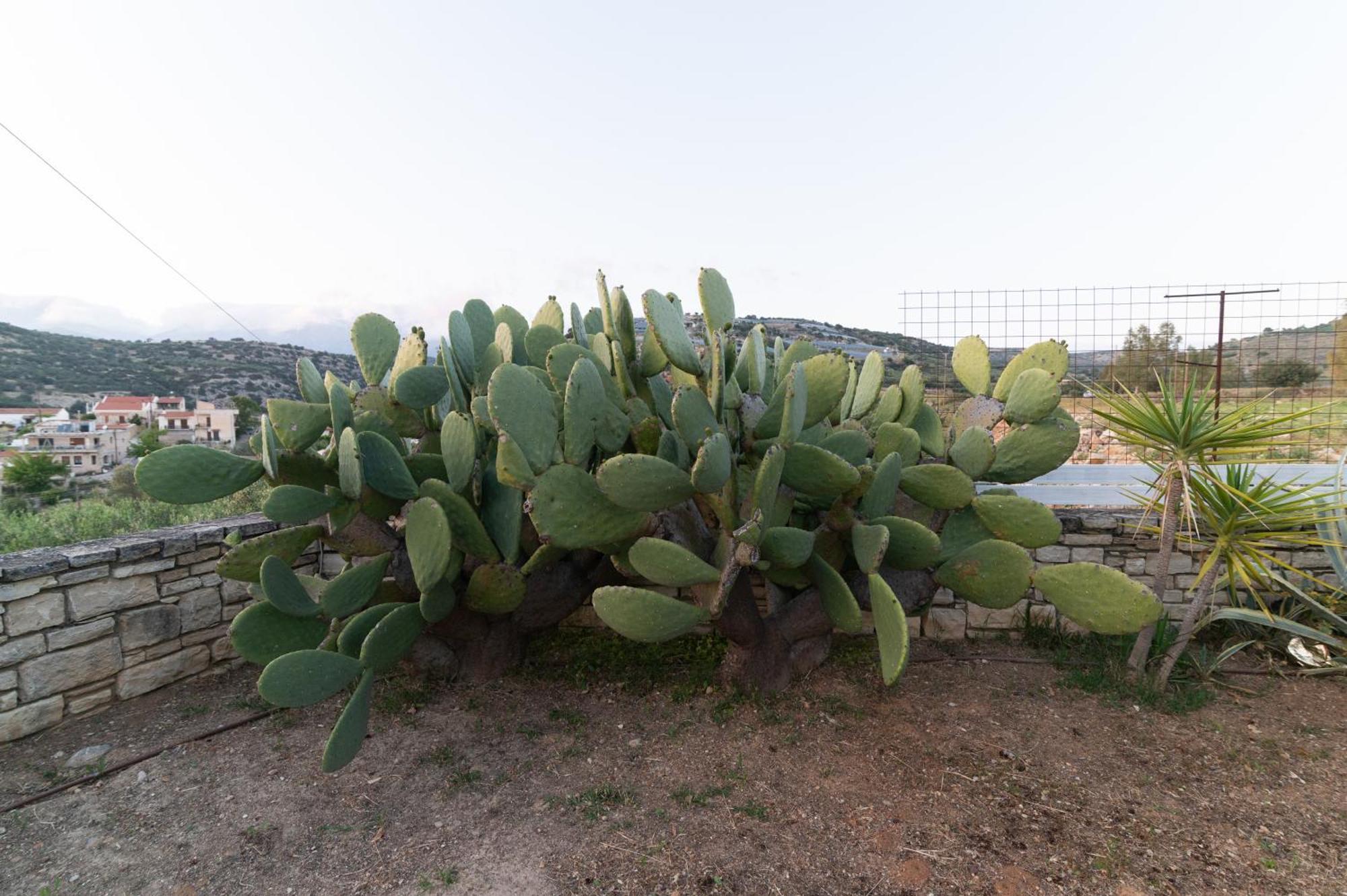Carob Villa Moirai Екстер'єр фото